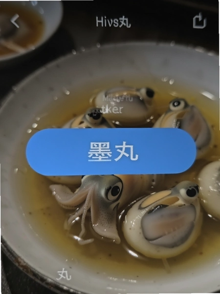 ī���貥��ҳ�������ť��дͼ