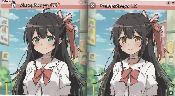 MangaMeeya CE ˫ҳ��ʾ���ý����ͼ