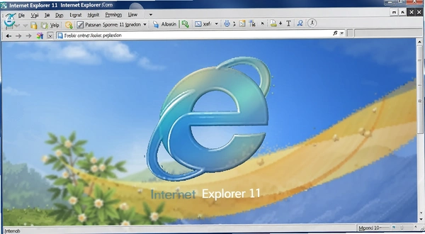 Internet Explorer 11����� ��������