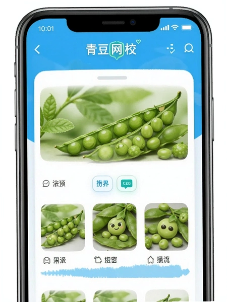 青豆网校手机安装界面示意图