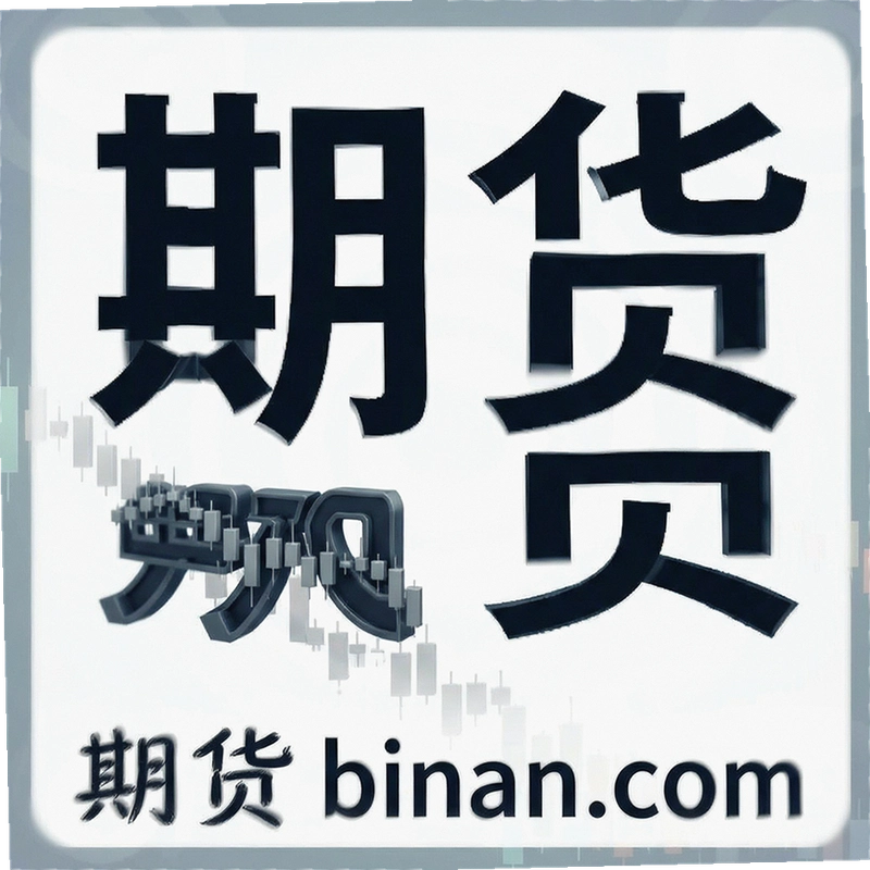�ڻ�binan.com���������𣿰�ȫ��������ôѡ