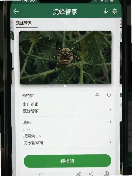 佷�ܼҲ�������Ԥ��ͼ