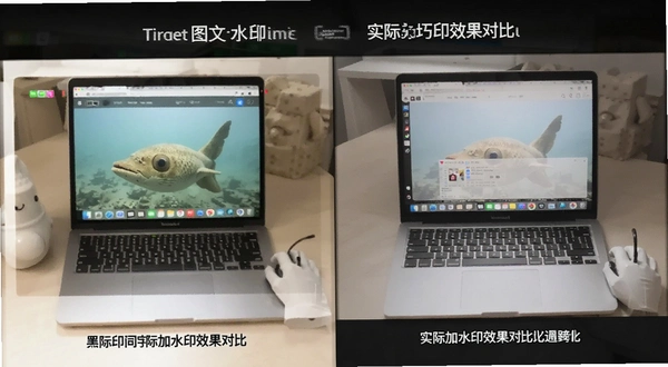 ͼ��ˮӡ ʵ�ʼ�ˮӡЧ���Ա�ͼ