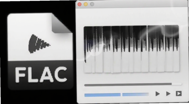Flac��Ƶ��ʽ�ļ�ͼ���벥�Ž���Ԥ��ͼ