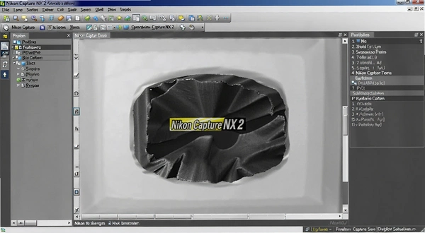Nikon Capture NX 2 �������������ͼ