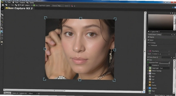 Nikon Capture NX 2 ���Ƶ������ɫʾ��