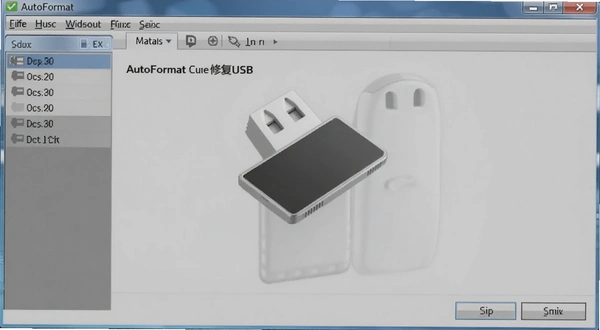 AutoFormat�����޸�U�̲�������Ԥ��ͼ