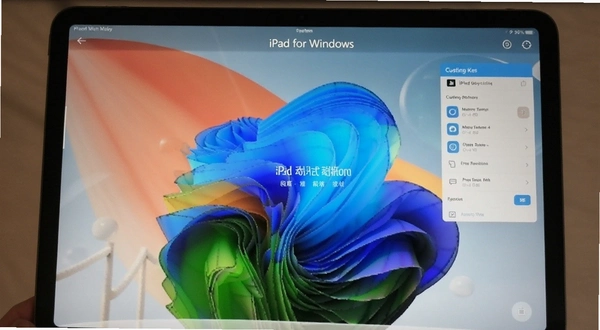 iPad for Windows�Զ����ֽ����ҳ��