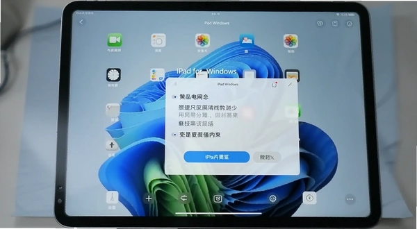 iPad for Windows���ý�������ѡ��