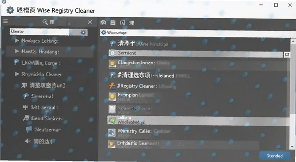 Wise Registry Cleaner ����ѡ������