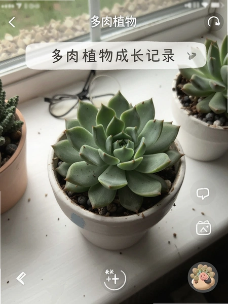 ����ֲ��ɳ���¼�����ͼ