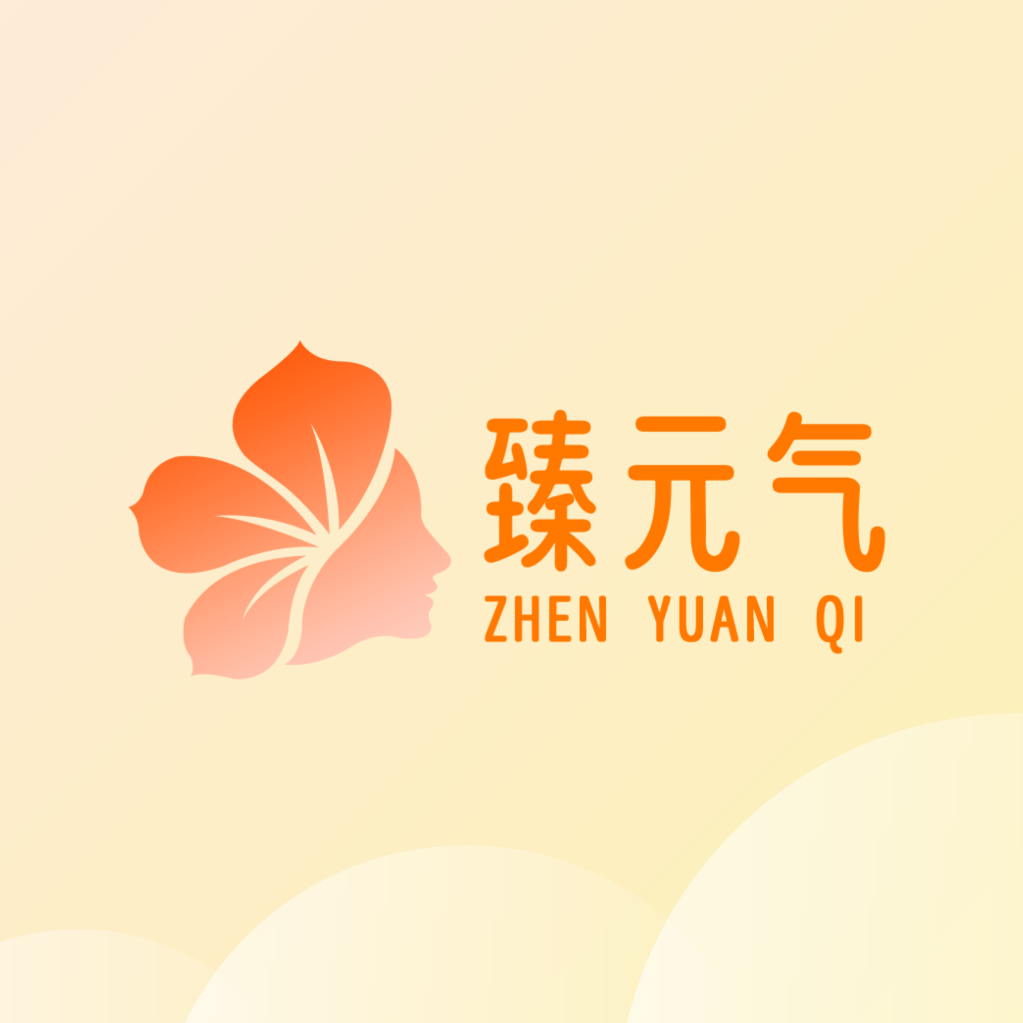 臻元气安卓版下载v1.3.9