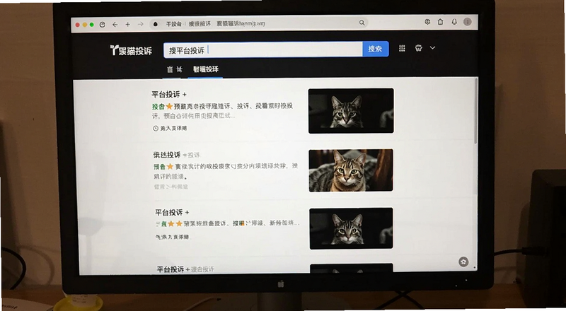 ������Ļ��ʾ��èͶ��ҳ�棬����������ƽ̨���ƣ�����Ͷ���б������ɼ�������+Ԥ��ͼ