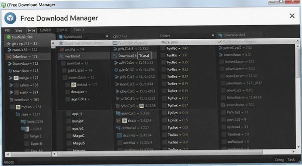 Free Download Manager���������������