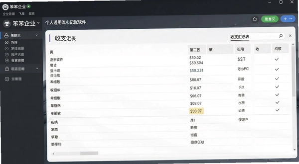 笨笨企业个人通用流水记账软件 收支汇总表界面