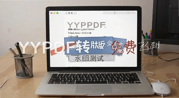 YYPDFת�� ��Ѱ� ˮӡ����