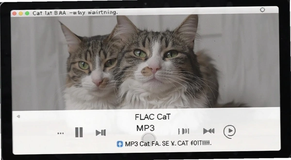 MP3 Cat����FLAC������ʾ