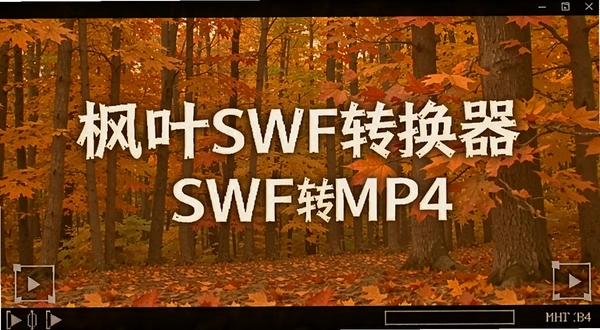 ��ҶSWFת���� SWFתMP4 ����