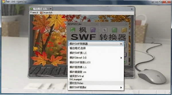 ��ҶSWFת���� �����ʽѡ�������˵�