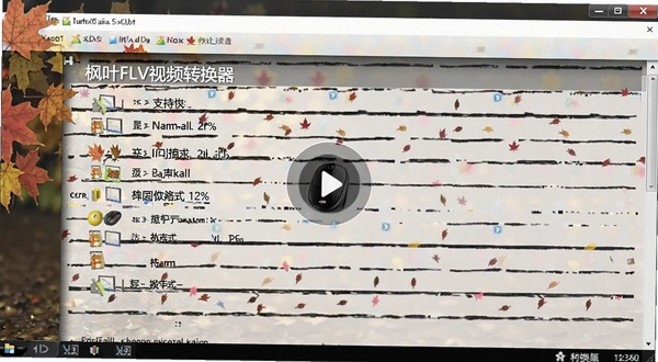 ��ҶFLV��Ƶת���� ֧�ָ�ʽ�б�