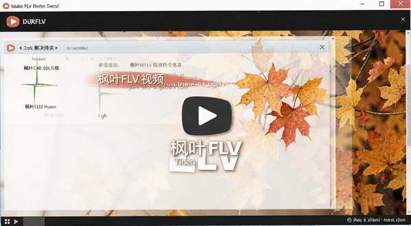 ��ҶFLV��Ƶת���� ������ʾ �������