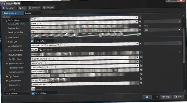 Bandicam�����������