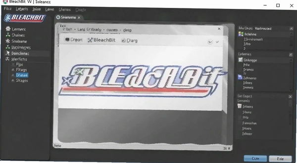 BleachBit���������ͼ