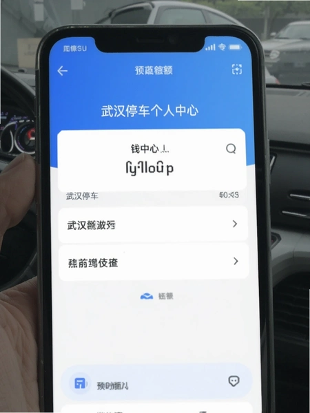 �人ͣ����������Ǯ�����ҳ��Ԥ��ͼ