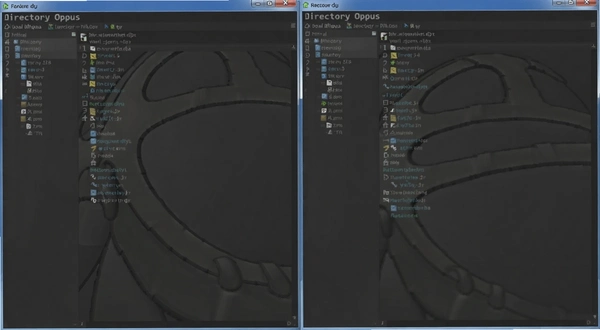 Directory Opus ˫������