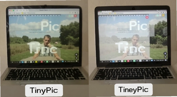 TinyPic ͼƬѹ��ǰ����ϸ�ڶԱ�ͼ