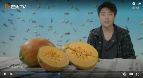 â��TV���⻭�ʲ��Ž�ͼ
