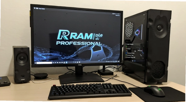RAM Idle Professional�ڵ�������ϵ�����Ч��