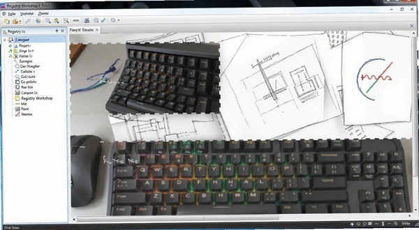 Registry Workshop �������н����ͼ