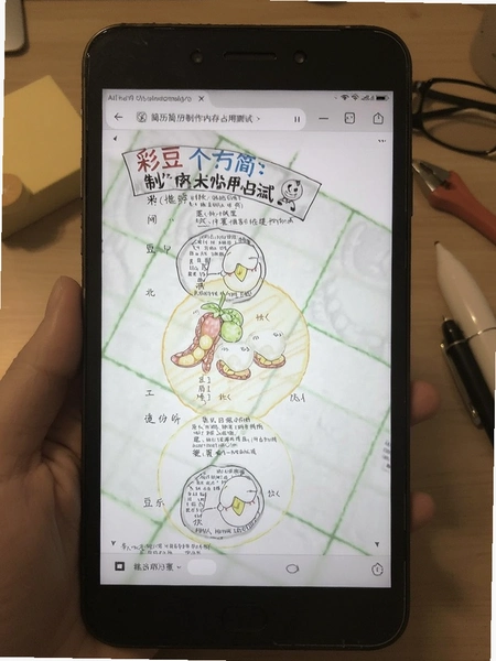 �ʶ����˼��������ڴ�ռ�ò���