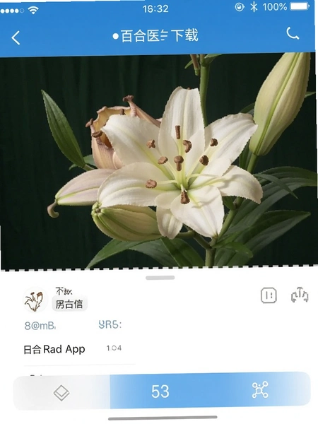 �ٺ�ҽapp�ٷ����ذ�װ�����ͼ