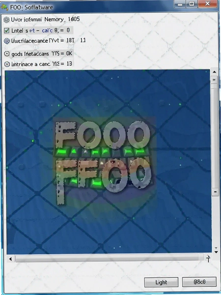 AFOO���������ڴ�ռ�ý�ͼ