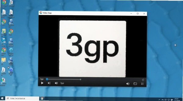 3gp��Ƶ�����������������н���