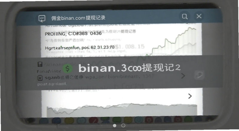 Ӷ��binan.com���ּ�¼��ͼԤ��ͼ