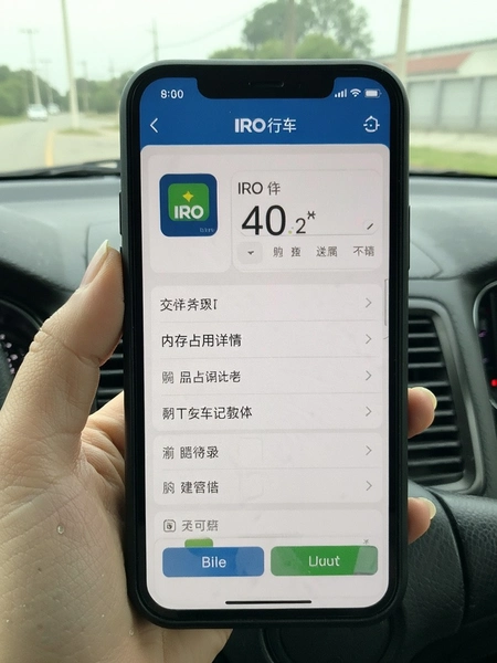 IRO�г���¼��app�ڴ�ռ������ҳ