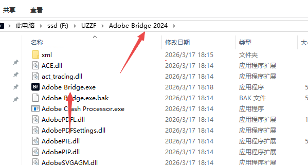 Adobe Bridge 2024中文版(附激活工具)截图 Adobe Bridge 2024中文版(附激活工具)截图