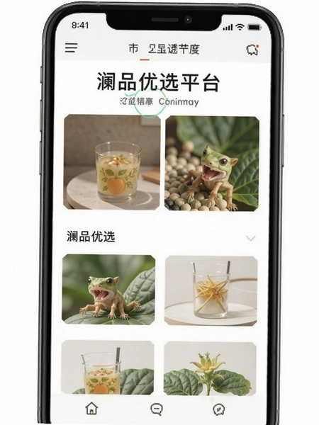 澜品优选平台资质界面