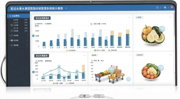 宏达水果蔬菜经销管理系统统计报表展示界面