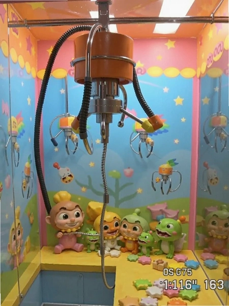 ���沿��ץ���޳ɹ���ͼ