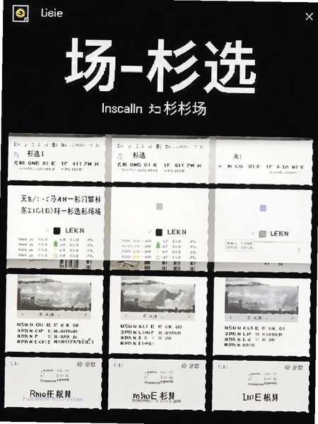 在场-杉选在场 安装界面截图