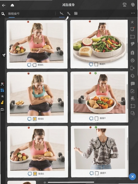 减脂瘦身食谱大全 画布编辑操作界面预览图
