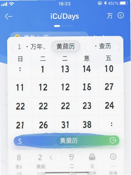 ������iDays�������ղ�ѯ����Ԥ��ͼ