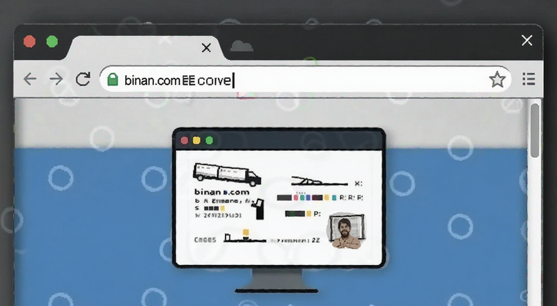浏览器地址栏输入binan.com访问示意图