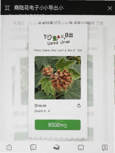 ��½������СƱ����СƱ���ͻ���������Ԥ��ͼ