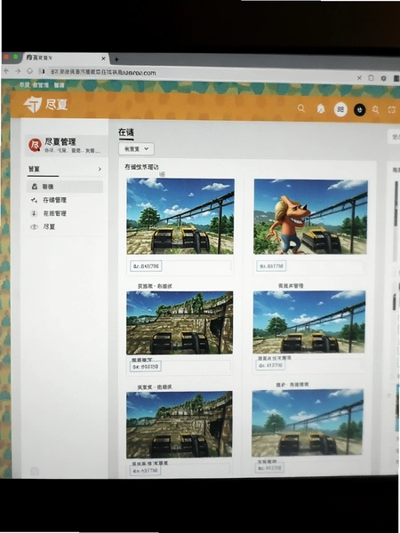 ��������ҳ��洢����