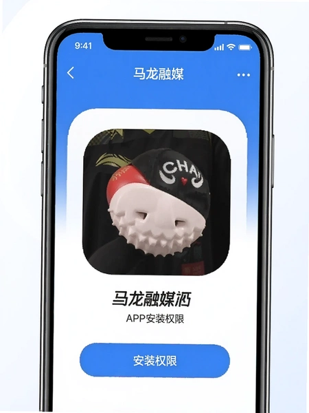 ������ýAPP��װȨ�޽���